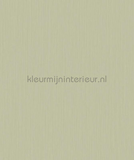 Hookedonwalls Tropical Weave 18808 | Bestellen bij https://www.kleurmijninterieur.nl/