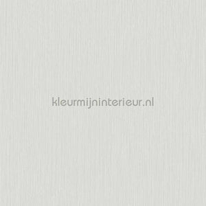 Hookedonwalls New Wave 24818 | Bestellen bij https://www.kleurmijninterieur.nl/