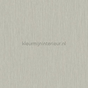 Hookedonwalls New Wave 24822 | Bestellen bij https://www.kleurmijninterieur.nl/