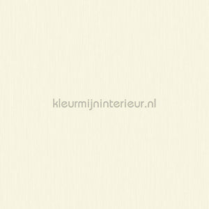 Hookedonwalls Tropical Weave 18811 | Bestellen bij https://www.kleurmijninterieur.nl/