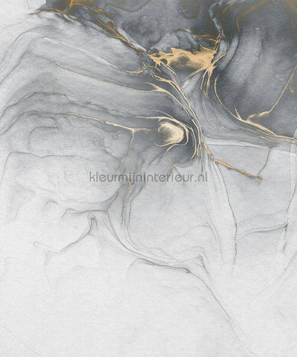 Komar RAW RSX6-037 | Bestellen bij https://www.kleurmijninterieur.nl/