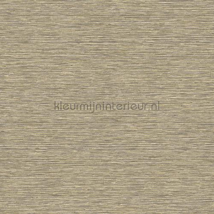 Hookedonwalls Leopard Walk 15308 | Bestellen bij https://www.kleurmijninterieur.nl/