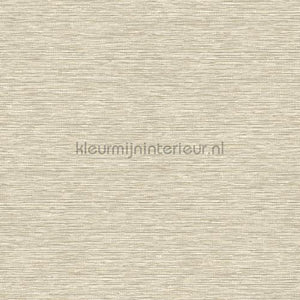 Hookedonwalls Leopard Walk 15309 | Bestellen bij https://www.kleurmijninterieur.nl/