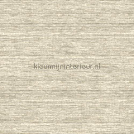 Hookedonwalls Leopard Walk 15309 | Bestellen bij https://www.kleurmijninterieur.nl/