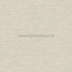 Hookedonwalls Leopard Walk 15311 | Bestellen bij https://www.kleurmijninterieur.nl/
