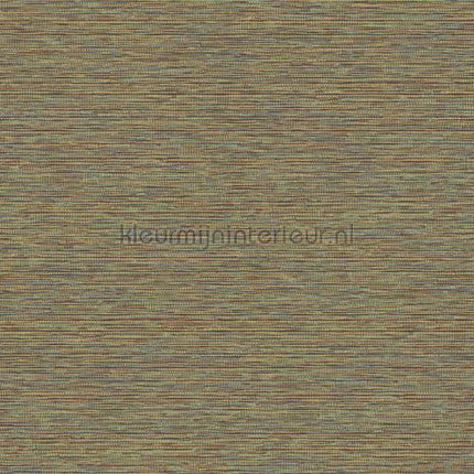 Hookedonwalls Leopard Walk 15312 | Bestellen bij https://www.kleurmijninterieur.nl/
