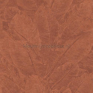 Khroma Havana HAV301 | Bestellen bij https://www.kleurmijninterieur.nl/