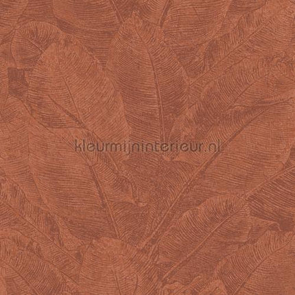 Khroma Havana HAV301 | Bestellen bij https://www.kleurmijninterieur.nl/