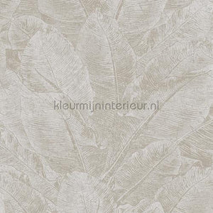 Khroma Havana HAV303 | Bestellen bij https://www.kleurmijninterieur.nl/