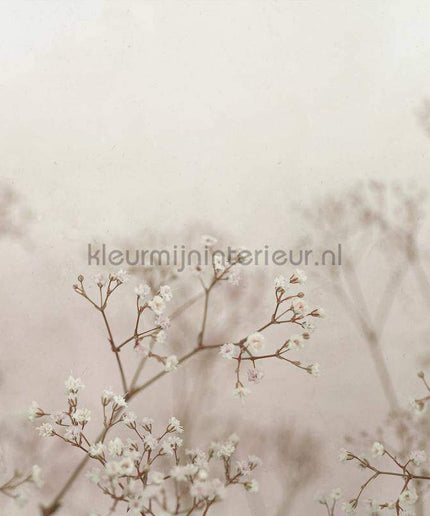 Sandberg Jordnara S10130 | Bestellen bij https://www.kleurmijninterieur.nl/