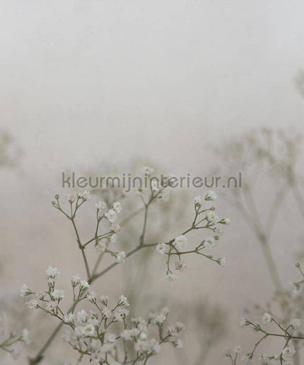 Sandberg Jordnara S10129 | Bestellen bij https://www.kleurmijninterieur.nl/