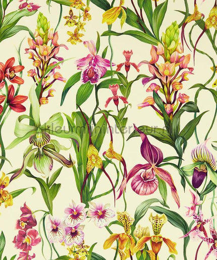 Harlequin Colour 4 HC4W113009 | Bestellen bij https://www.kleurmijninterieur.nl/