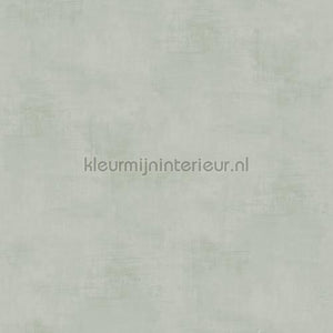 Dutch Wallcoverings Kalk 61023 | Bestellen bij https://www.kleurmijninterieur.nl/