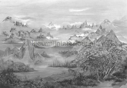 Coordonne Random Chinoiseries 7900022 | Bestellen bij https://www.kleurmijninterieur.nl/