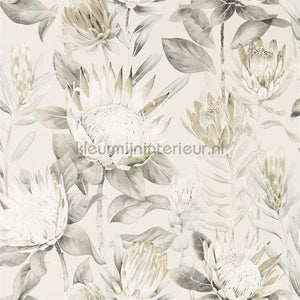 Sanderson Glasshouse 216647 | Bestellen bij https://www.kleurmijninterieur.nl/