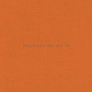 Kleurmijninterieur Delight delight-204 | Bestellen bij https://www.kleurmijninterieur.nl/