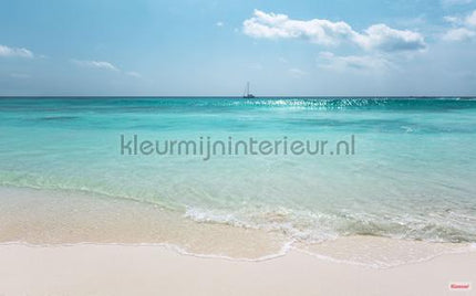 Komar Pure psh097-vd4 | Bestellen bij https://www.kleurmijninterieur.nl/