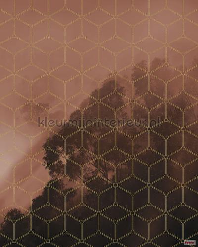 Komar Pure psh099-vd2 | Bestellen bij https://www.kleurmijninterieur.nl/
