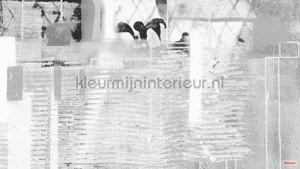 Komar Pure prh-0800 | Bestellen bij https://www.kleurmijninterieur.nl/