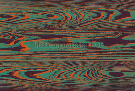 AS Creation Walls by Patel 3 DD122576 | Bestellen bij https://www.kleurmijninterieur.nl/