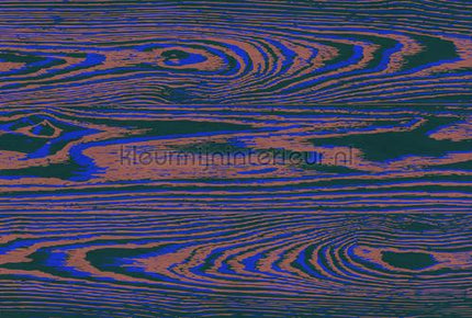 AS Creation Walls by Patel 3 DD122584 | Bestellen bij https://www.kleurmijninterieur.nl/