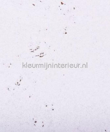 Noordwand Wandkurk 2096 | Bestellen bij https://www.kleurmijninterieur.nl/