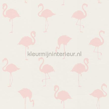 Esta for Kids Little Bandits 138918 | Bestellen bij https://www.kleurmijninterieur.nl/
