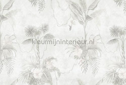 AS Creation Walls by Patel 3 DD121992 | Bestellen bij https://www.kleurmijninterieur.nl/
