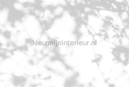 AS Creation Walls by Patel 3 DD122028 | Bestellen bij https://www.kleurmijninterieur.nl/