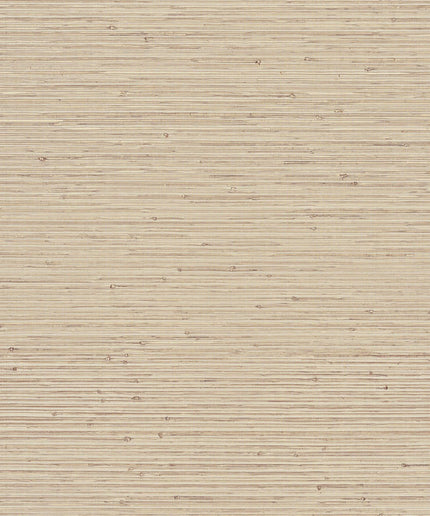 LAN221 | kleurmijninterieur