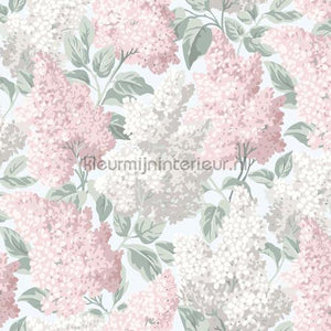 Cole and Son Botanical 115-1002 | Bestellen bij https://www.kleurmijninterieur.nl/