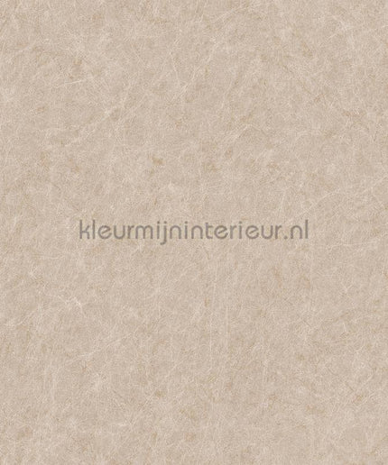 Dutch Wallcoverings Tapestry TP422903 | Bestellen bij https://www.kleurmijninterieur.nl/