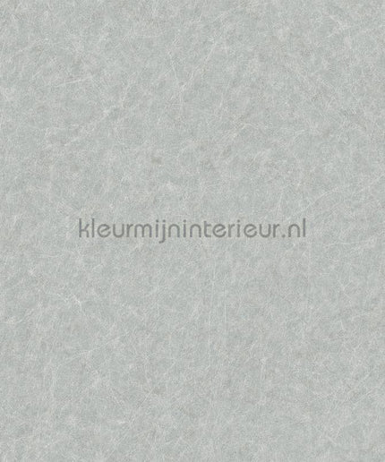 Dutch Wallcoverings Tapestry TP422906 | Bestellen bij https://www.kleurmijninterieur.nl/
