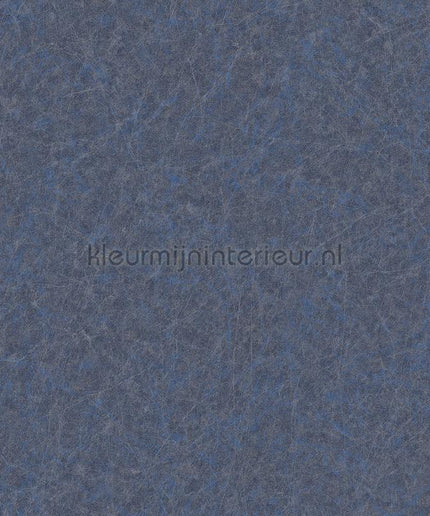 Dutch Wallcoverings Tapestry TP422908 | Bestellen bij https://www.kleurmijninterieur.nl/
