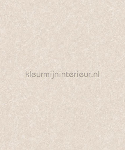 Dutch Wallcoverings Tapestry TP422902 | Bestellen bij https://www.kleurmijninterieur.nl/