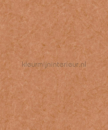 Dutch Wallcoverings Tapestry TP422904 | Bestellen bij https://www.kleurmijninterieur.nl/