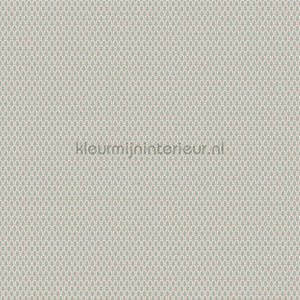 Dutch Wallcoverings Tapestry TP422804 | Bestellen bij https://www.kleurmijninterieur.nl/