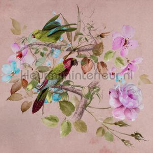 AS Creation Walls by Patel 3 DD122404 | Bestellen bij https://www.kleurmijninterieur.nl/