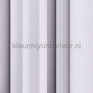 AS Creation Walls by Patel 3 DD122644 | Bestellen bij https://www.kleurmijninterieur.nl/
