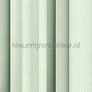 AS Creation Walls by Patel 3 DD122648 | Bestellen bij https://www.kleurmijninterieur.nl/