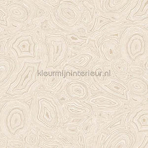 Cole and Son Fornasetti 114-6011 | Bestellen bij https://www.kleurmijninterieur.nl/