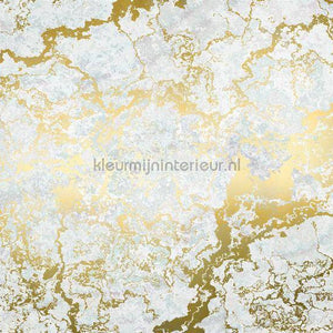 Komar RAW RSX8-056 | Bestellen bij https://www.kleurmijninterieur.nl/