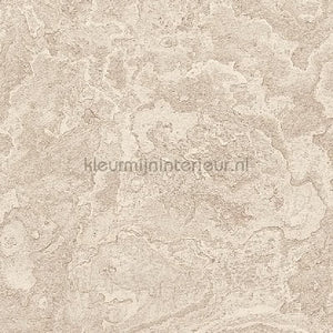 Dutch Wallcoverings Exclusive Threads TP422983 | Bestellen bij https://www.kleurmijninterieur.nl/