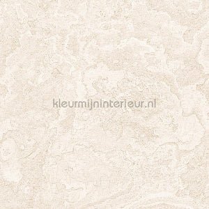 Dutch Wallcoverings Exclusive Threads TP422982 | Bestellen bij https://www.kleurmijninterieur.nl/