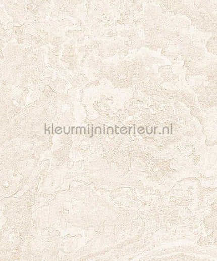 Dutch Wallcoverings Exclusive Threads TP422982 | Bestellen bij https://www.kleurmijninterieur.nl/