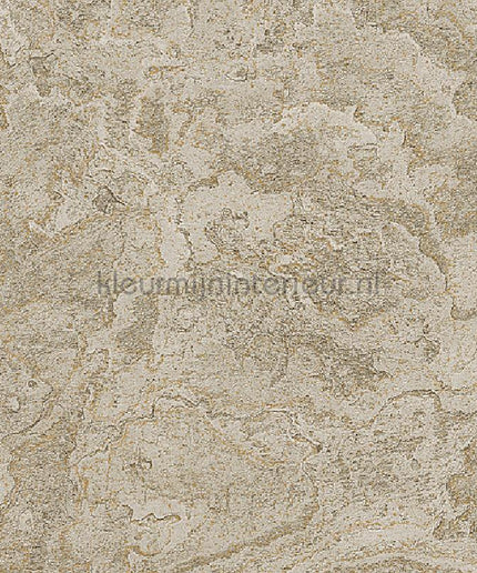 Dutch Wallcoverings Exclusive Threads TP422986 | Bestellen bij https://www.kleurmijninterieur.nl/