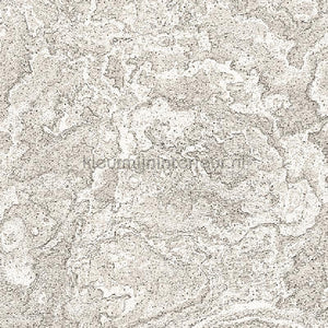 Dutch Wallcoverings Exclusive Threads TP422984 | Bestellen bij https://www.kleurmijninterieur.nl/