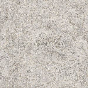Dutch Wallcoverings Exclusive Threads TP422985 | Bestellen bij https://www.kleurmijninterieur.nl/