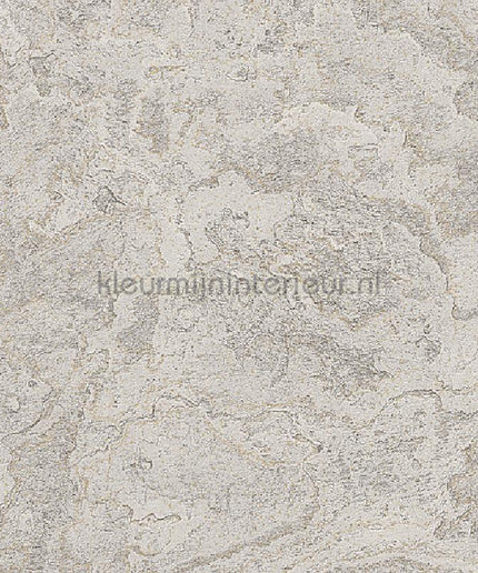 Dutch Wallcoverings Exclusive Threads TP422985 | Bestellen bij https://www.kleurmijninterieur.nl/