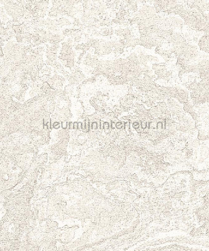 Dutch Wallcoverings Exclusive Threads TP422981 | Bestellen bij https://www.kleurmijninterieur.nl/